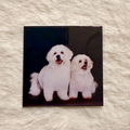 Photo Magnet x 1